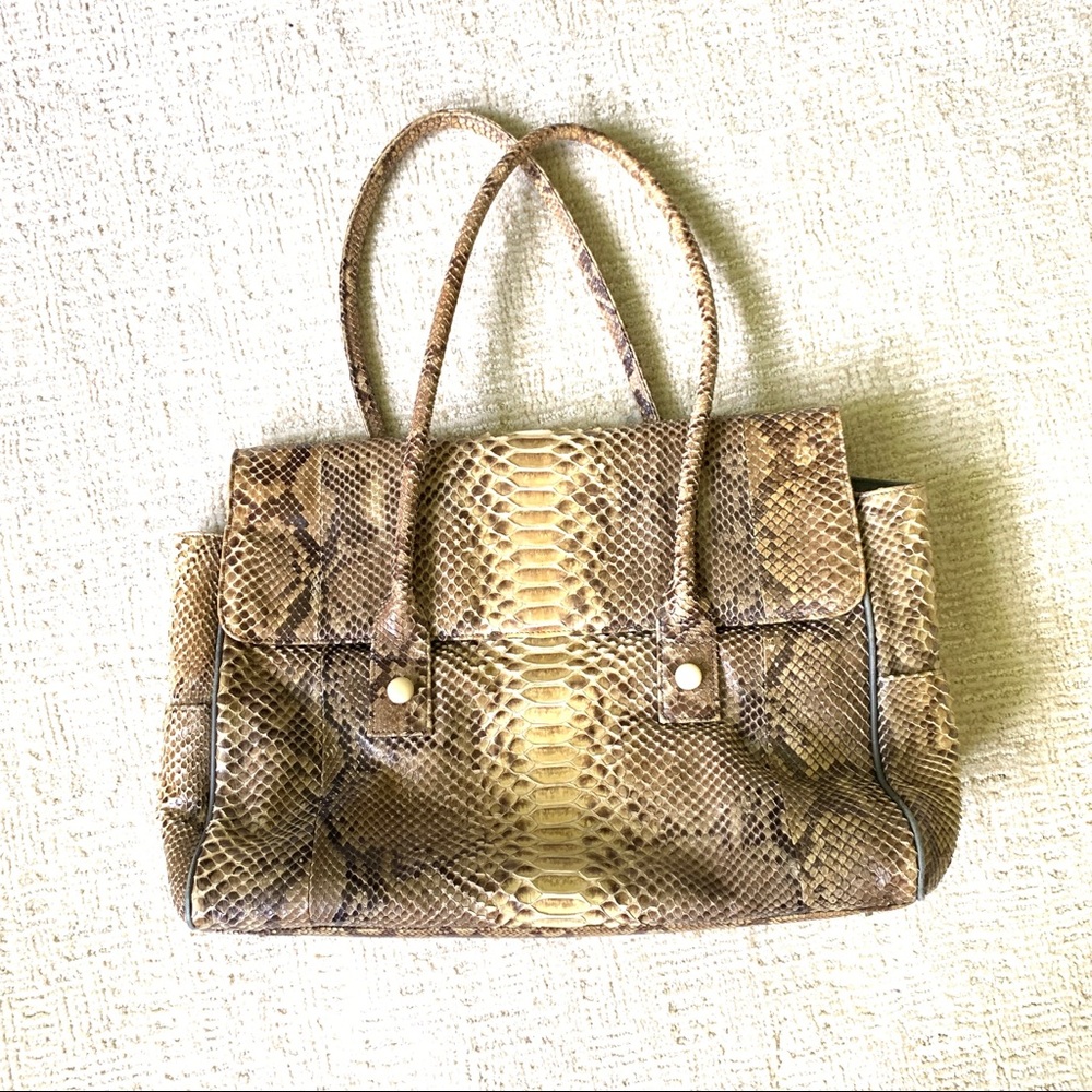 Natural Metallic Python Tote Handbag - image 1